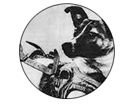 Laika - Russian Space Dog
